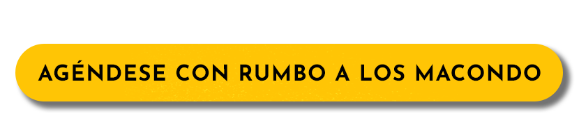 Ir a la programación