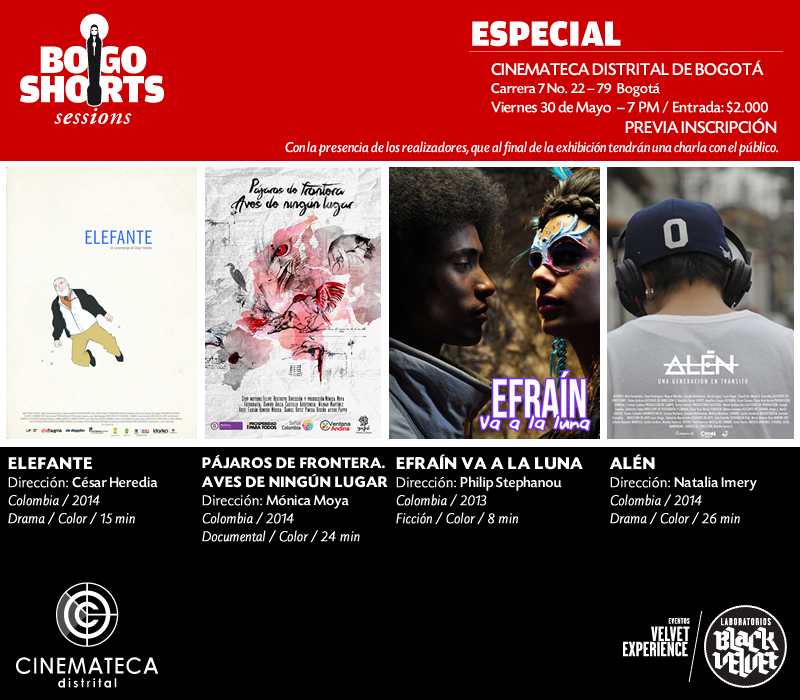 BOGOSHORTS sessions ESPECIAL