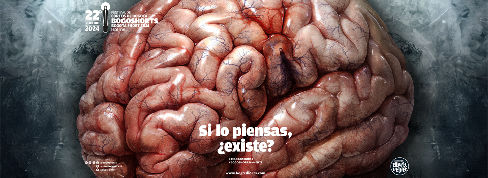 Foto_nota_3